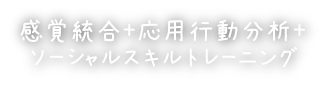 感覚統合＋応用行動分析＋ソーシャルスキルトレーニング