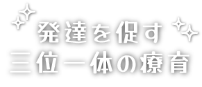 発達を促す三位一体の療育